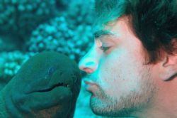 Sweet Kisses! Moorea, 2005. by Tom Blackburn 
